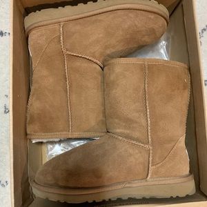 Kid’s Classic Chestnut UGGs Size 3